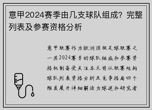 意甲2024赛季由几支球队组成？完整列表及参赛资格分析